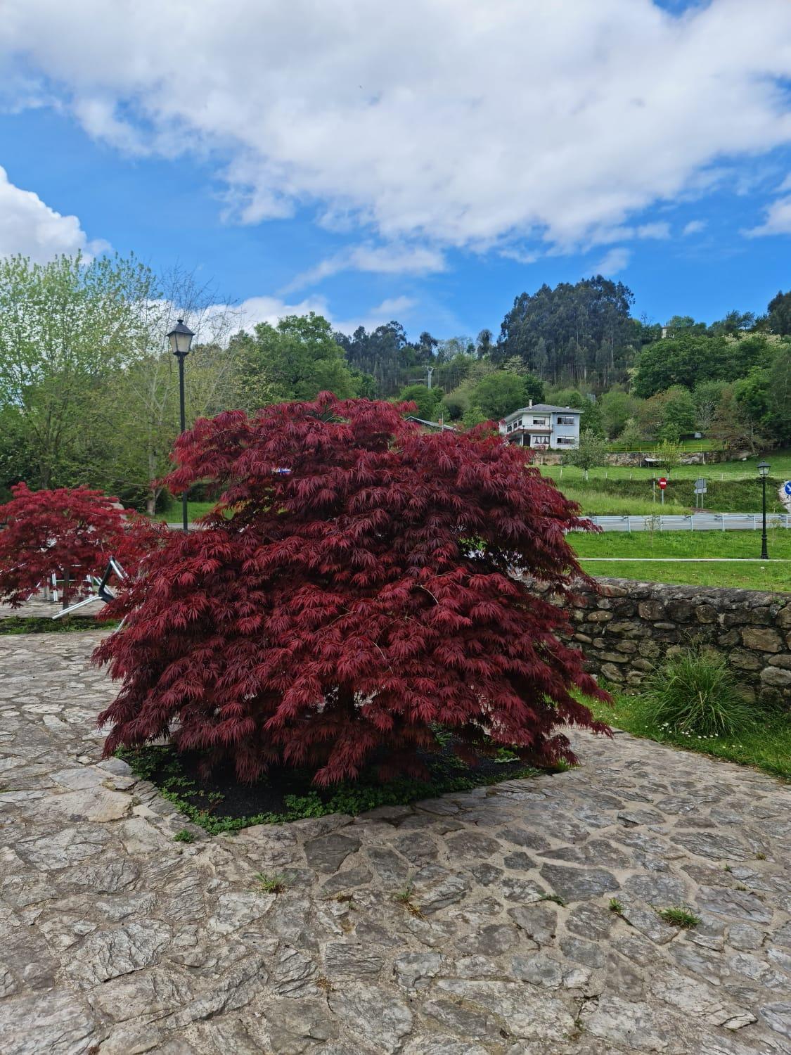 Posada Las Mozas Ríocorvo Exteriör bild